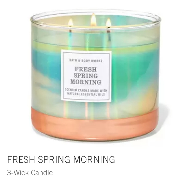 🕯NWT‼️ BBW "Fresh Spring Morning" 3-wick Candle